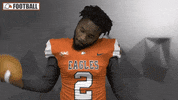 Cnfb GIF by Carson-Newman Athletics