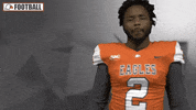 Cnfb GIF by Carson-Newman Athletics
