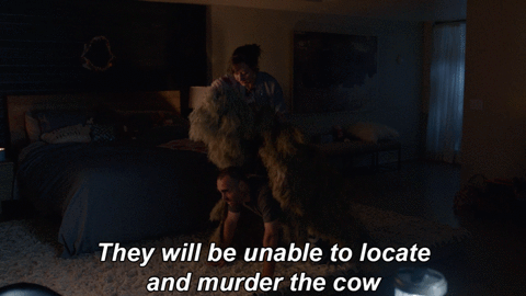 foxtv GIF by The Last Man On Earth