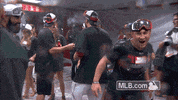 ana GIF by MLB
