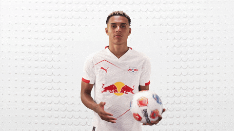 Rb Leipzig Football GIF by Bundesliga