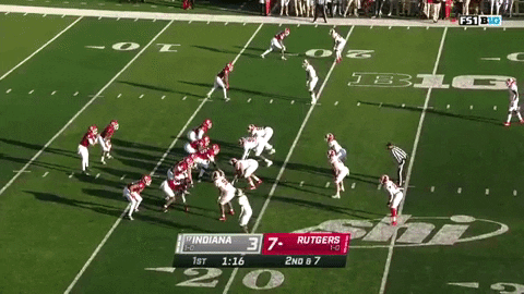 zosterman giphygifmaker GIF