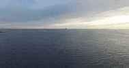 connecticut GIF