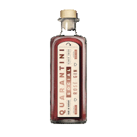 Drink Cheers Sticker by Social Dry Gin