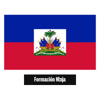 Haiti Flag Sticker by Formación Ninja