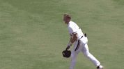 Home Run Celebration GIF by Cincinnati Bearcats