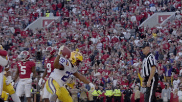 College Football Nfl GIF by SEC Network