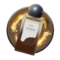 Dragon Cny Sticker by HINT Perfume