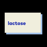 beckonicecream ice cream icecream beckon lactosefree GIF