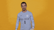 Cal State La Soccer GIF by Cal State LA Golden Eagles
