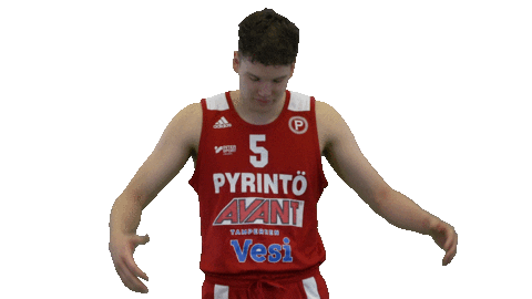 Basketball Hoops Sticker by Basket_fi
