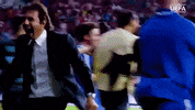 champions league football GIF by UEFA