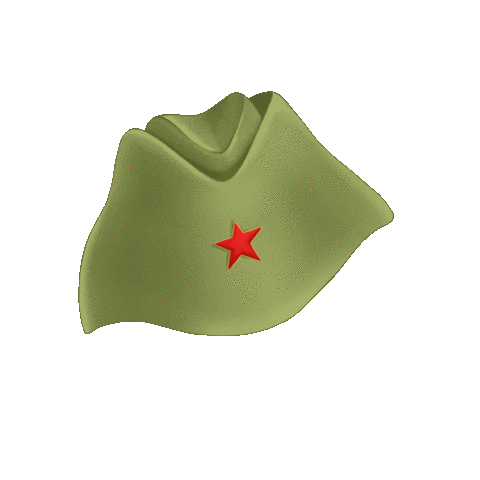 art_lira giphyupload победа pobeda 9мая Sticker