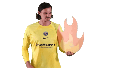 Jannick Green Sport Sticker by Paris Saint-Germain Handball
