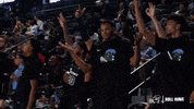 College Basketball Shrug GIF by GreenWave