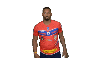 Handball Vernon Sticker by SMV HB