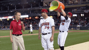 minor league baseball celebration GIF