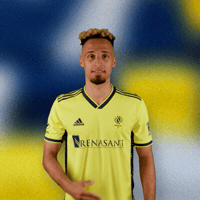 Major League Soccer Football GIF by Nashville SC