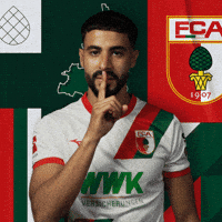 Football Bundesliga GIF by FC Augsburg 1907