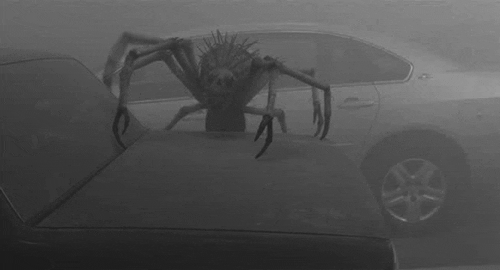 the mist car GIF