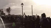 news puerto rico bad bunny protests residente GIF