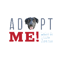 Adoptme Sticker by LabsAndMore
