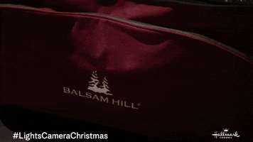 Decorating Christmas Tree GIF by Hallmark Channel