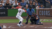 Washington Nationals Sport GIF by MLB