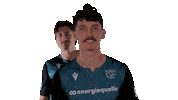 Netzhoppers kw netzhoppers bestensee Sticker