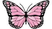 Butterfly Sticker by Ali & Ariel