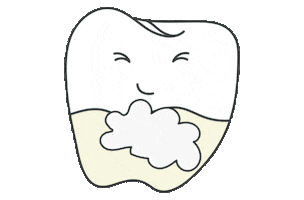 before and after smile Sticker by Primal Life Organics