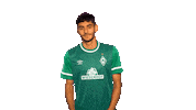 Fussball Sticker by SV Werder Bremen