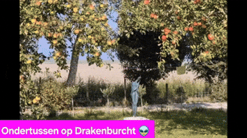 ✨ The Gift of Earth ✨