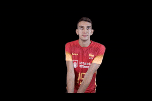 redlynxes volleyball voleibol mikasa redlynxes GIF