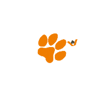 Heart Orange Sticker by vetconcept