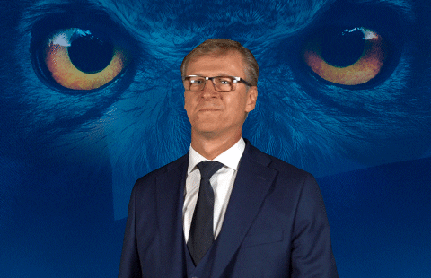 Euro Cup Yes GIF by Huuhkajat