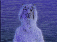 K GIF by Fall Out Boy
