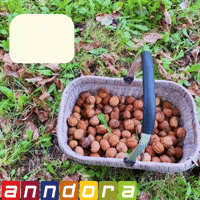 Herbst Picknick GIF by anndora