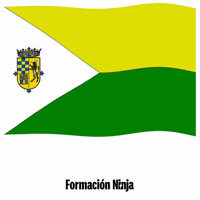 Castilla-La Mancha Bandera GIF by Formación Ninja
