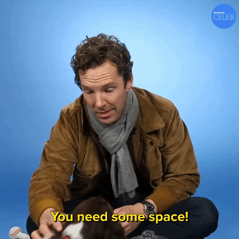 Benedict Cumberbatch Dog GIF by BuzzFeed