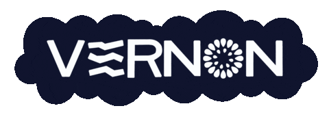 Vernon 세븐틴 Sticker