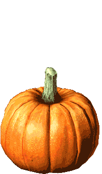 Jack O Lantern Halloween Sticker by Alena Geyzer