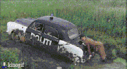 aaa GIF