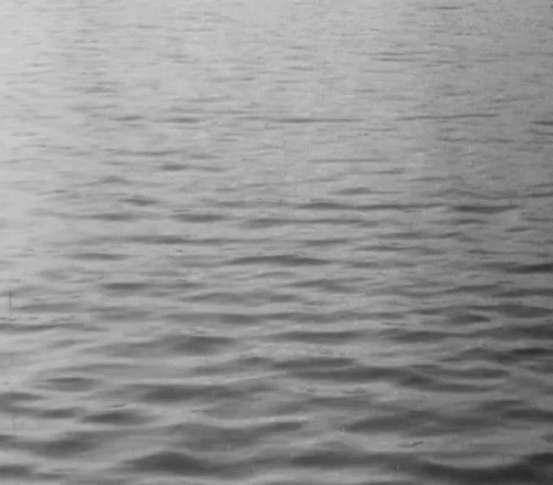 black and white ocean GIF