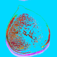 art installation GIF