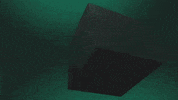 GIF by Fiona