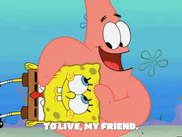 season 6 GIF by SpongeBob SquarePants