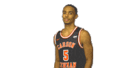 Carson Newman Basketball Sticker by Carson-Newman Athletics
