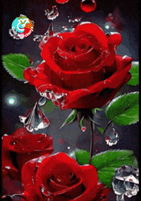 Para Ti Dia GIF by Murcianys LLC