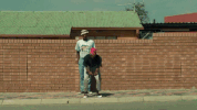 GIF by NOWNESS
